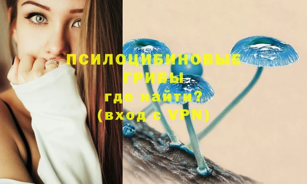 бошки Баксан